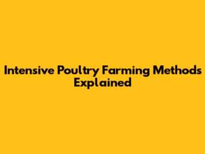 Intensive Poultry Farming Methods Explained