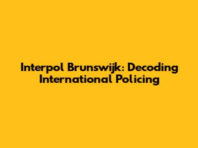 Interpol Brunswijk: Decoding International Policing