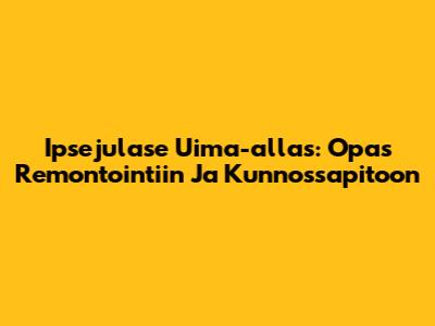 Ipsejulase Uima-allas: Opas Remontointiin Ja Kunnossapitoon