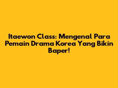 Itaewon Class: Mengenal Para Pemain Drama Korea Yang Bikin Baper!