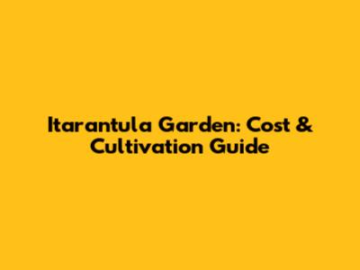 Itarantula Garden: Cost & Cultivation Guide