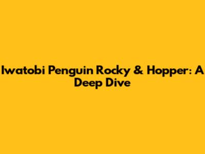 Iwatobi Penguin Rocky & Hopper: A Deep Dive