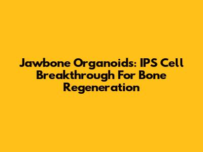 Jawbone Organoids: IPS Cell Breakthrough For Bone Regeneration