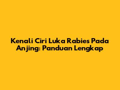 Kenali Ciri Luka Rabies Pada Anjing: Panduan Lengkap