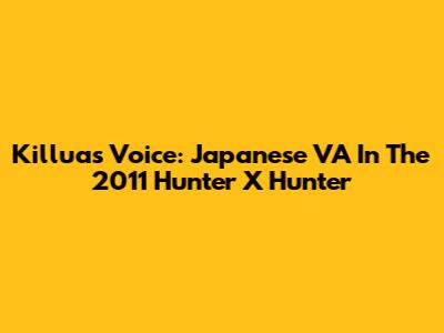 Killua's Voice: Japanese VA In The 2011 Hunter X Hunter