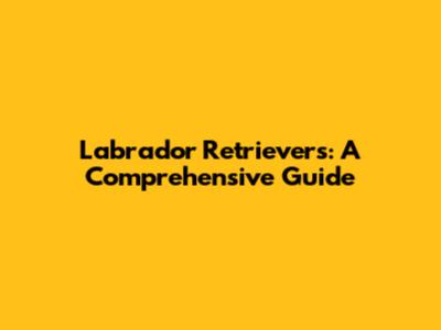 Labrador Retrievers: A Comprehensive Guide