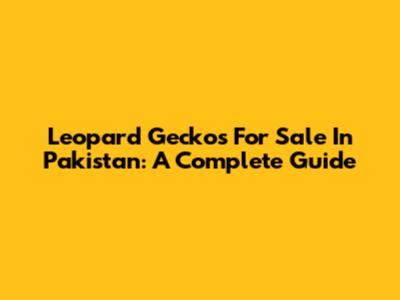 Leopard Geckos For Sale In Pakistan: A Complete Guide