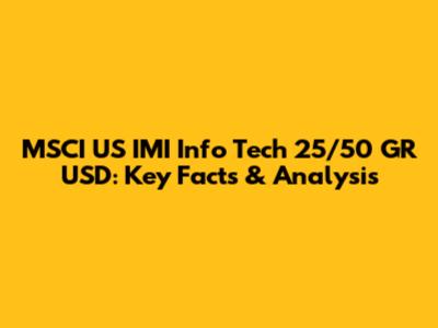 MSCI US IMI Info Tech 25/50 GR USD: Key Facts & Analysis