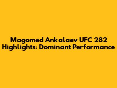 Magomed Ankalaev UFC 282 Highlights: Dominant Performance
