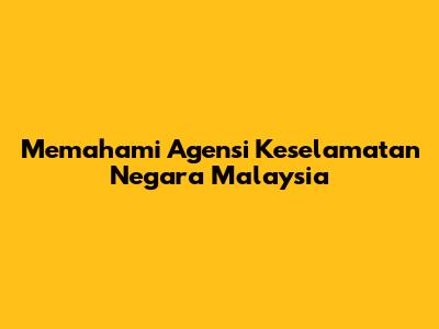 Memahami Agensi Keselamatan Negara Malaysia