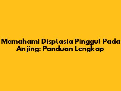 Memahami Displasia Pinggul Pada Anjing: Panduan Lengkap