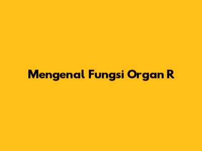 Mengenal Fungsi Organ R