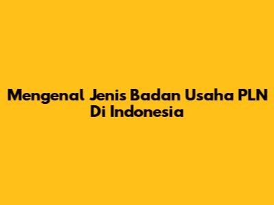 Mengenal Jenis Badan Usaha PLN Di Indonesia