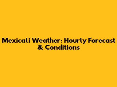 Mexicali Weather: Hourly Forecast & Conditions