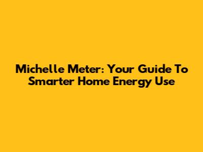 Michelle Meter: Your Guide To Smarter Home Energy Use