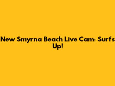 New Smyrna Beach Live Cam: Surf's Up!