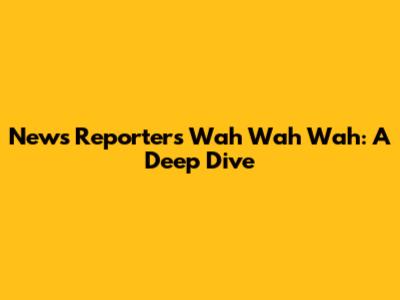 News Reporter's 'Wah Wah Wah': A Deep Dive