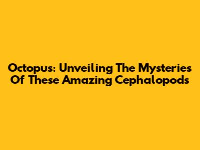 Octopus: Unveiling The Mysteries Of These Amazing Cephalopods