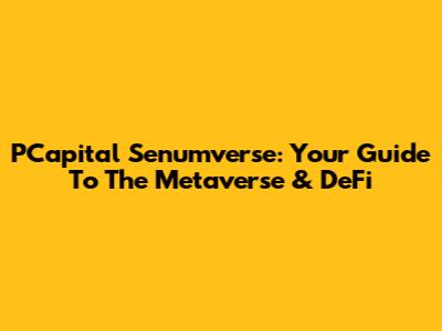 PCapital Senumverse: Your Guide To The Metaverse & DeFi