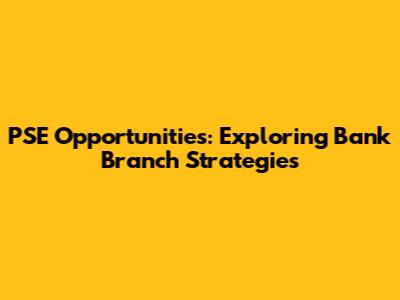 PSE Opportunities: Exploring Bank Branch Strategies