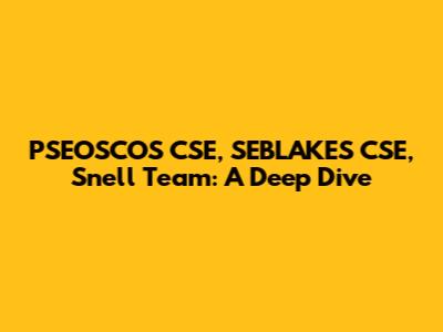 PSEOSCOS CSE, SEBLAKES CSE, Snell Team: A Deep Dive