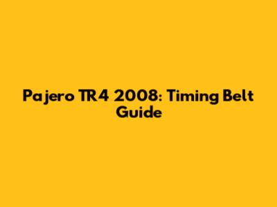 Pajero TR4 2008: Timing Belt Guide