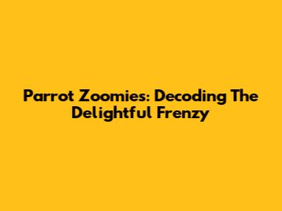 Parrot Zoomies: Decoding The Delightful Frenzy