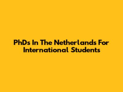 PhDs In The Netherlands For International Students
