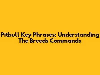 Pitbull Key Phrases: Understanding The Breed's Commands