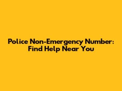 Police Non-Emergency Number: Find Help Near You