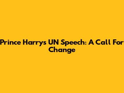 Prince Harry's UN Speech: A Call For Change