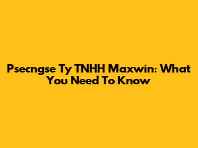 Psecngse Ty TNHH Maxwin: What You Need To Know
