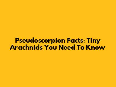 Pseudoscorpion Facts: Tiny Arachnids You Need To Know