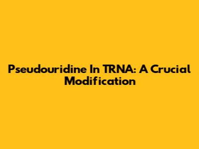 Pseudouridine In TRNA: A Crucial Modification