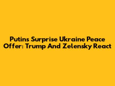 Putin's Surprise Ukraine Peace Offer: Trump And Zelensky React