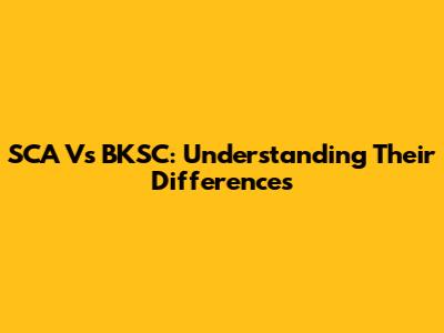 SCA Vs BKSC: Understanding Their Differences
