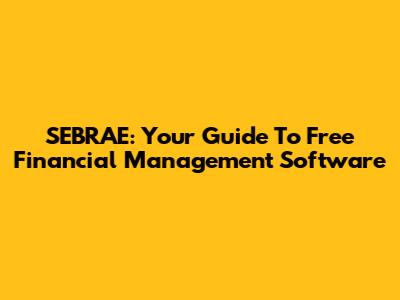 SEBRAE: Your Guide To Free Financial Management Software