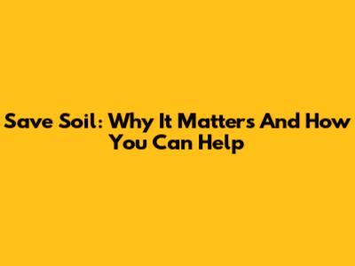 Save Soil: Why It Matters And How You Can Help