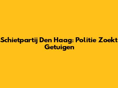 Schietpartij Den Haag: Politie Zoekt Getuigen
