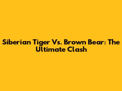 Siberian Tiger Vs. Brown Bear: The Ultimate Clash