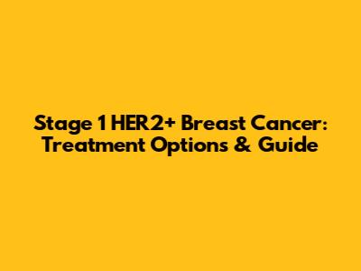 Stage 1 HER2+ Breast Cancer: Treatment Options & Guide