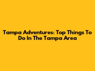 Tampa Adventures: Top Things To Do In The Tampa Area