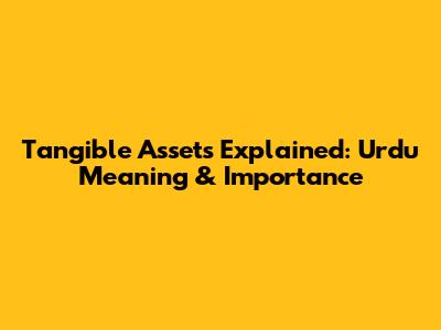 Tangible Assets Explained: Urdu Meaning & Importance