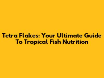 Tetra Flakes: Your Ultimate Guide To Tropical Fish Nutrition
