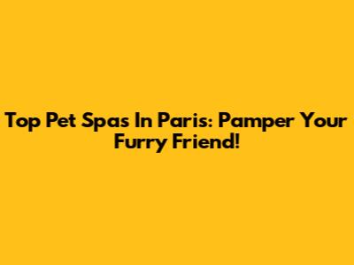Top Pet Spas In Paris: Pamper Your Furry Friend!