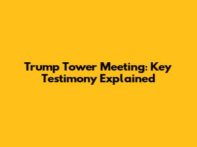 Trump Tower Meeting: Key Testimony Explained