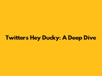 Twitter's Hey Ducky: A Deep Dive