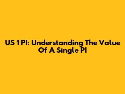 US 1 PI: Understanding The Value Of A Single PI