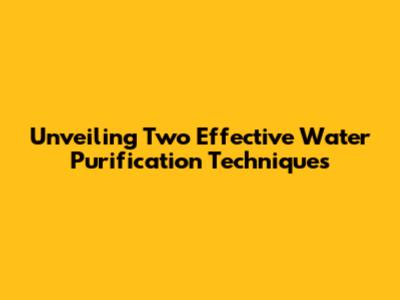 Unveiling Two Effective Water Purification Techniques