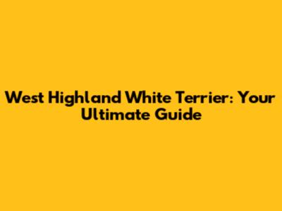 West Highland White Terrier: Your Ultimate Guide